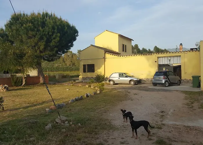 Casa Campidanese בית הארחה סנט'איזידורו